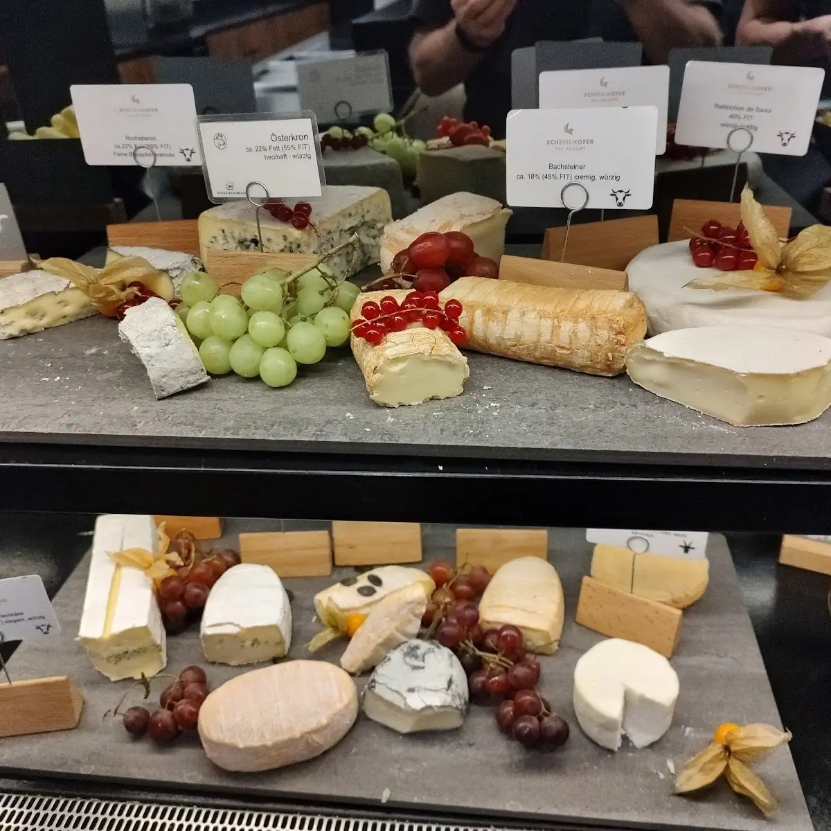 Käse