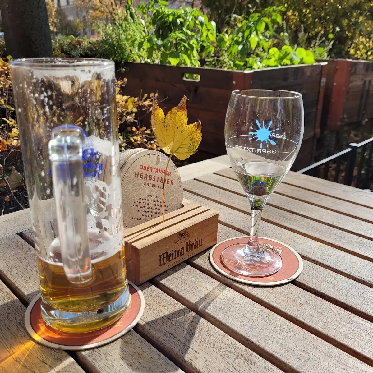 Bier Und Weißweinspritzer Weißweinschorle