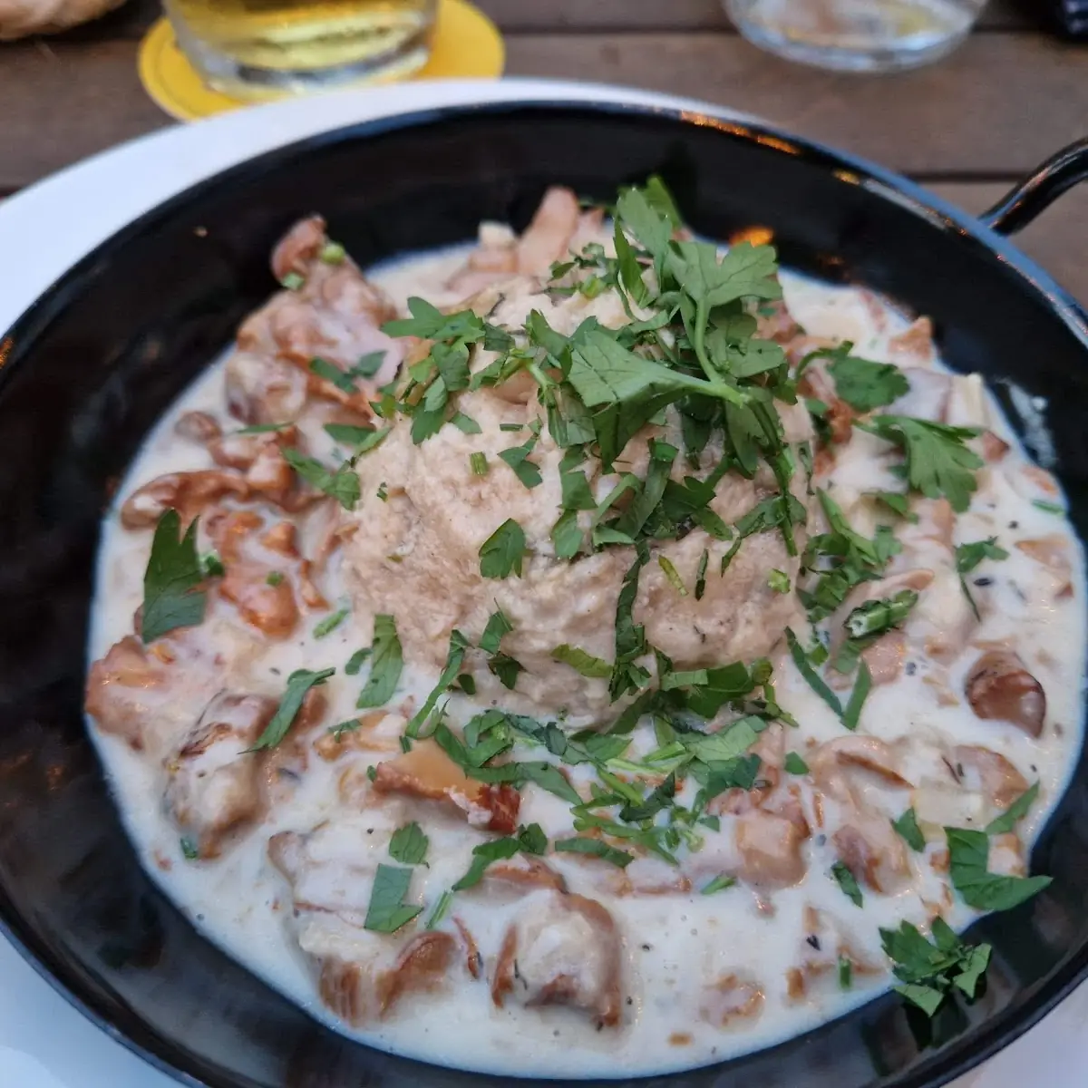 Schwammerlgulasch Mit Knödel Kleine Portion