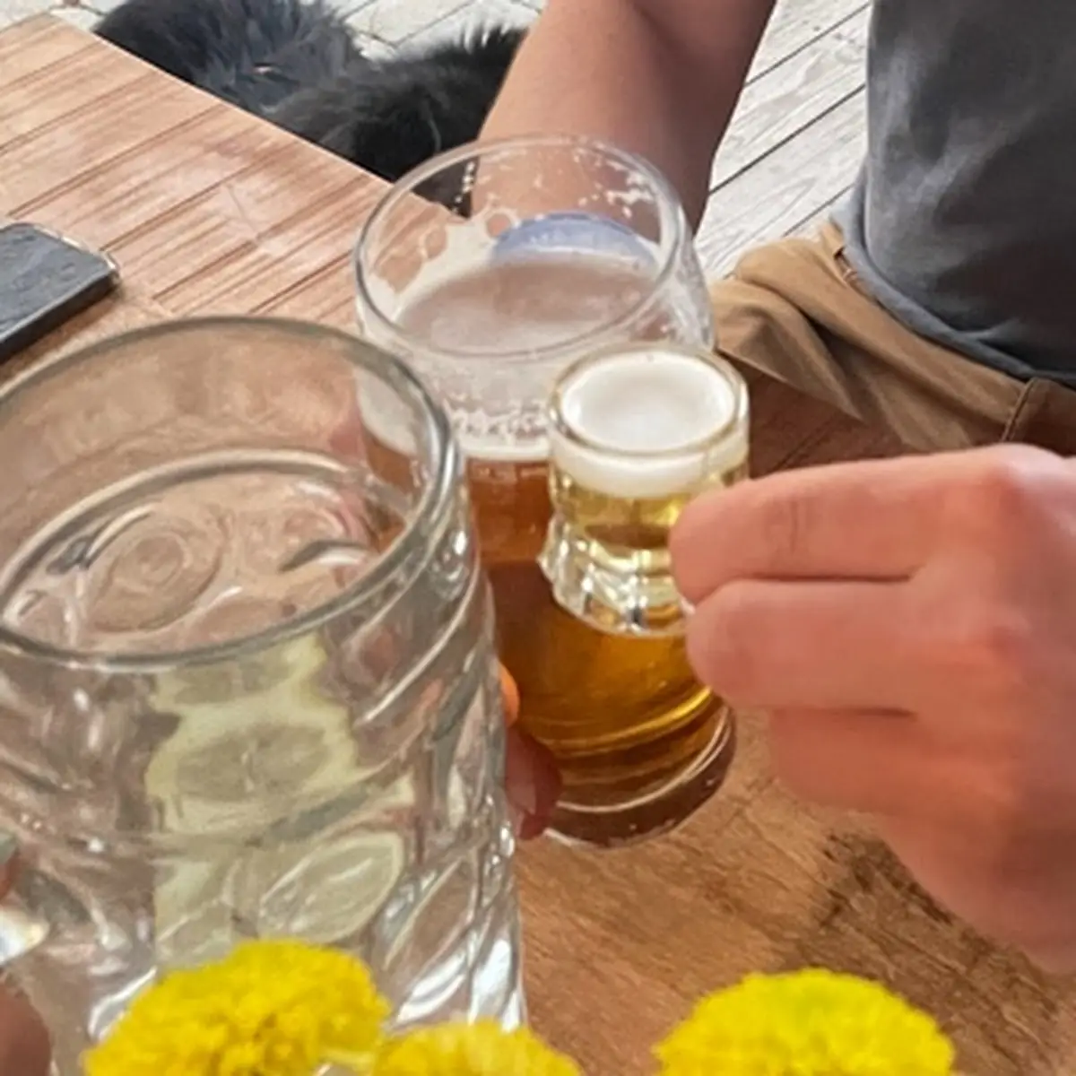 Bier In Allen Größen