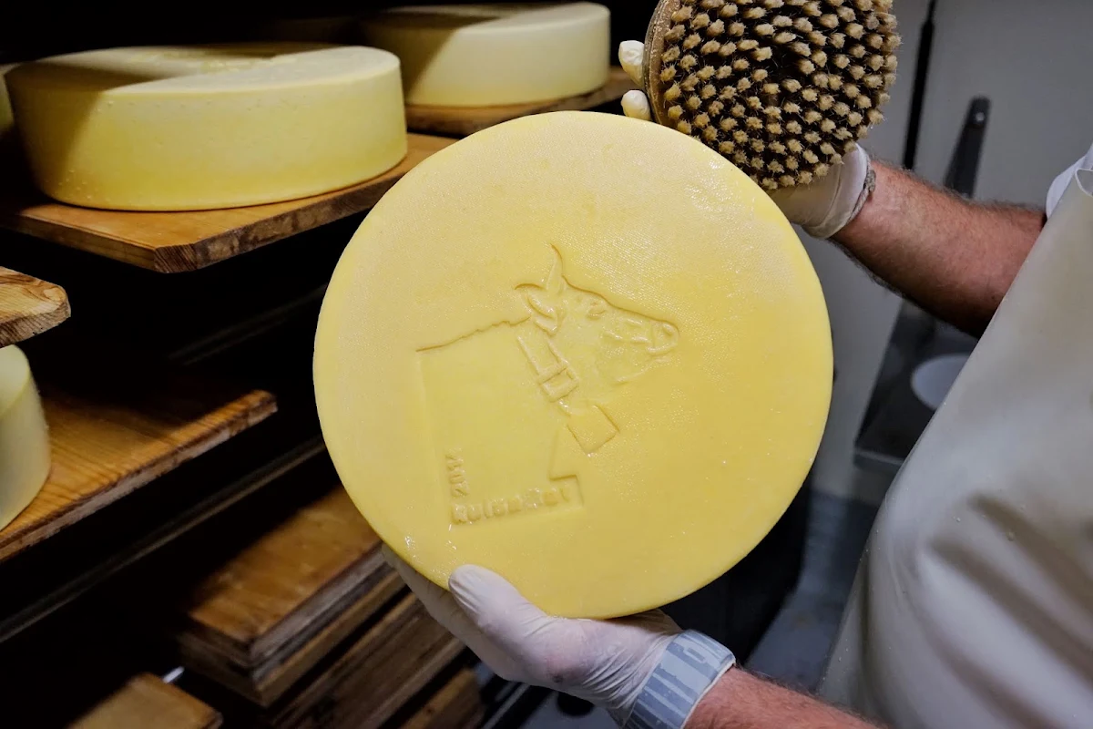 Cheese