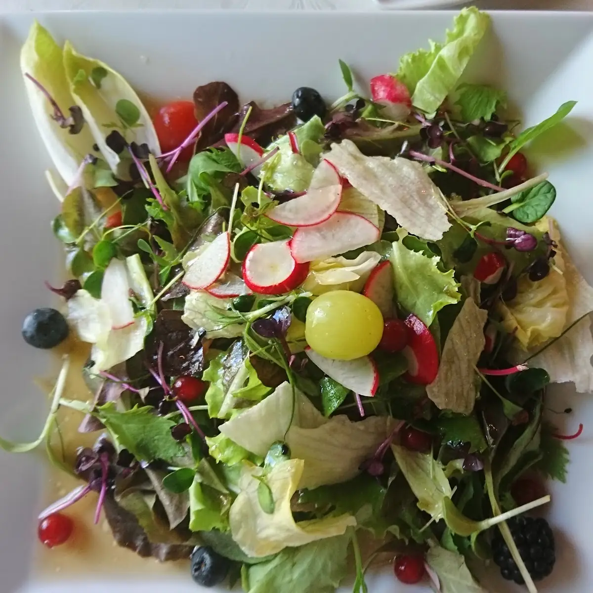 Herbst Salat