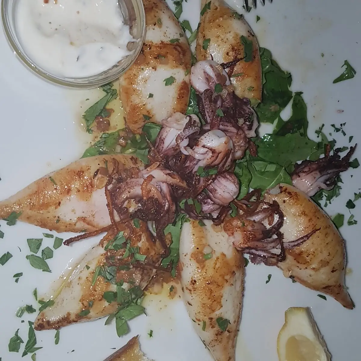 Gegrillte Calamari