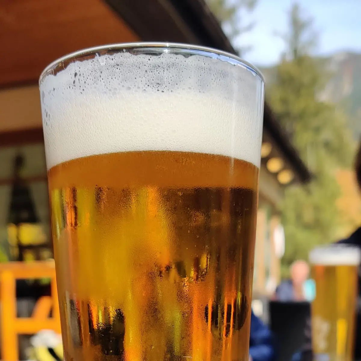Bier