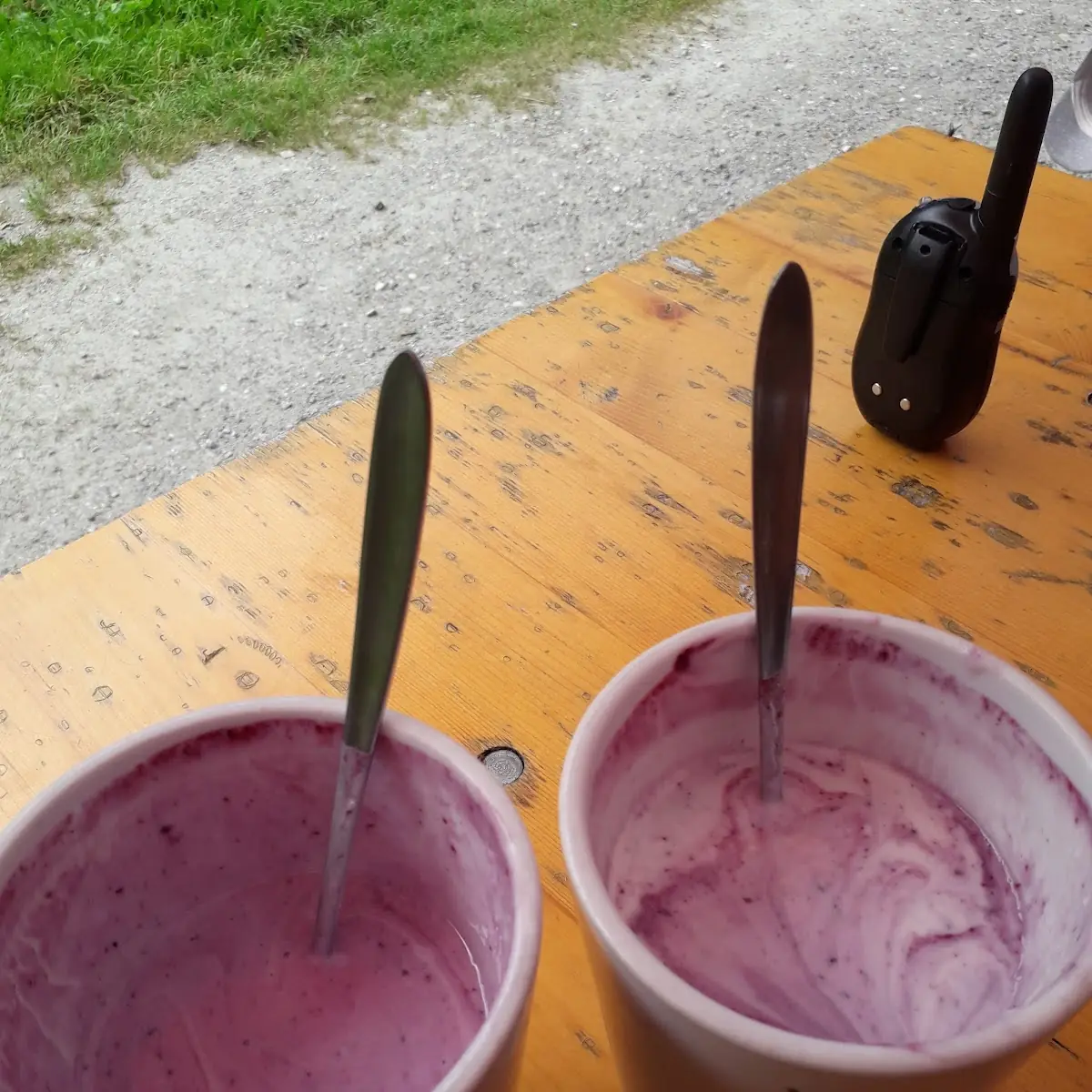 Frische Heidlbeer Buttermilch