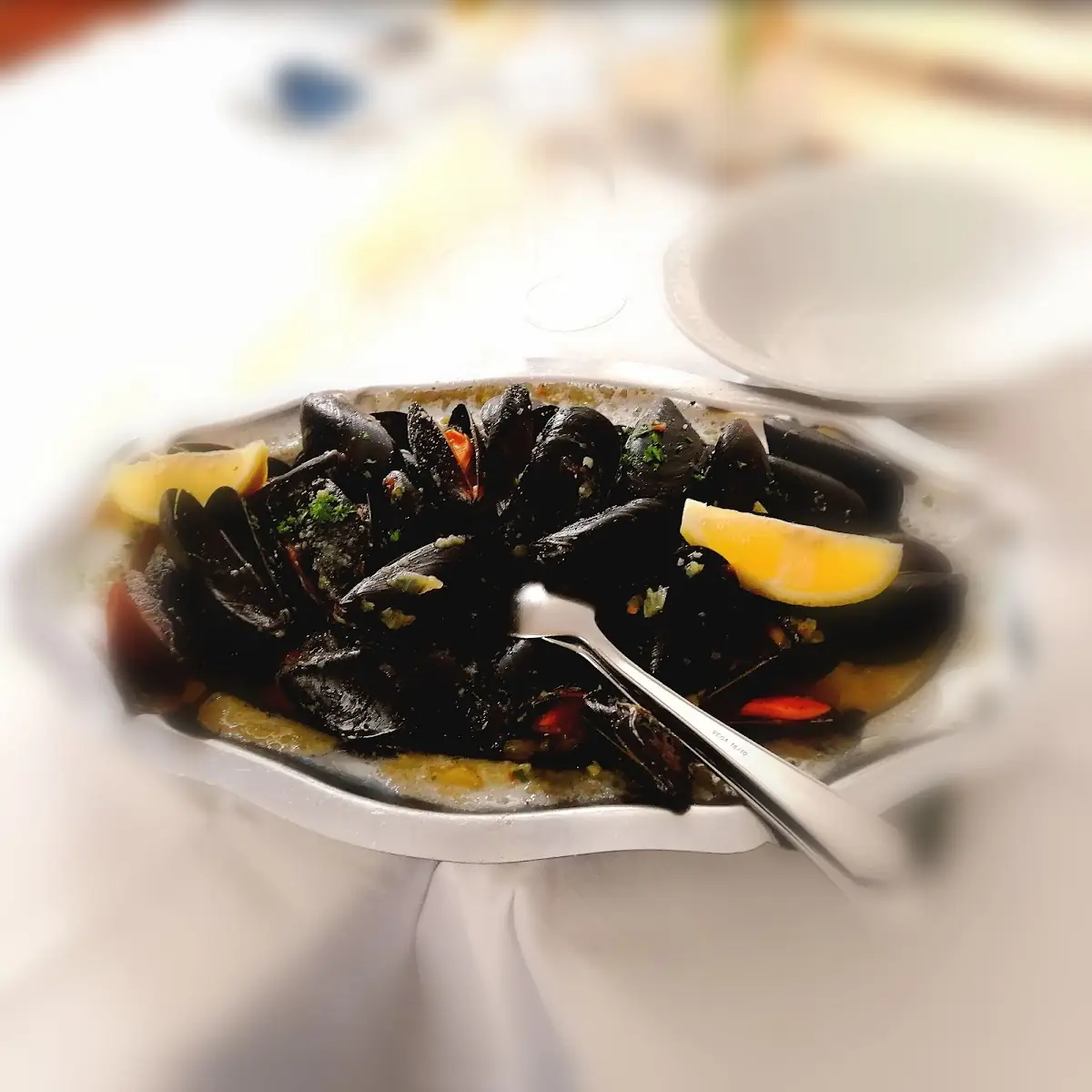 Cozze