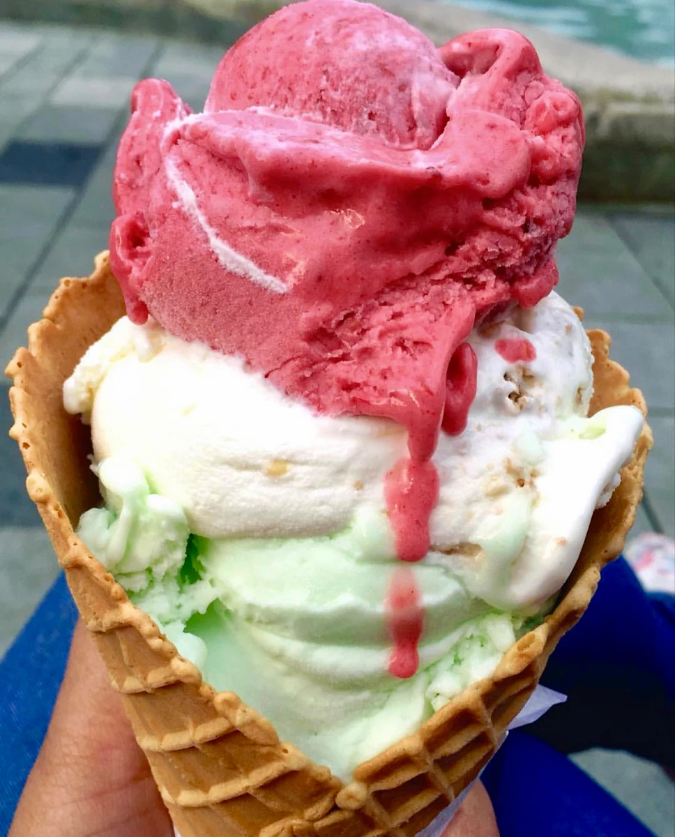Highlight 5