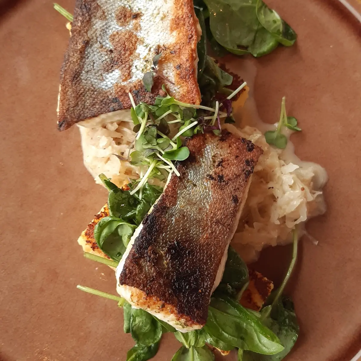 Saiblingsfilet