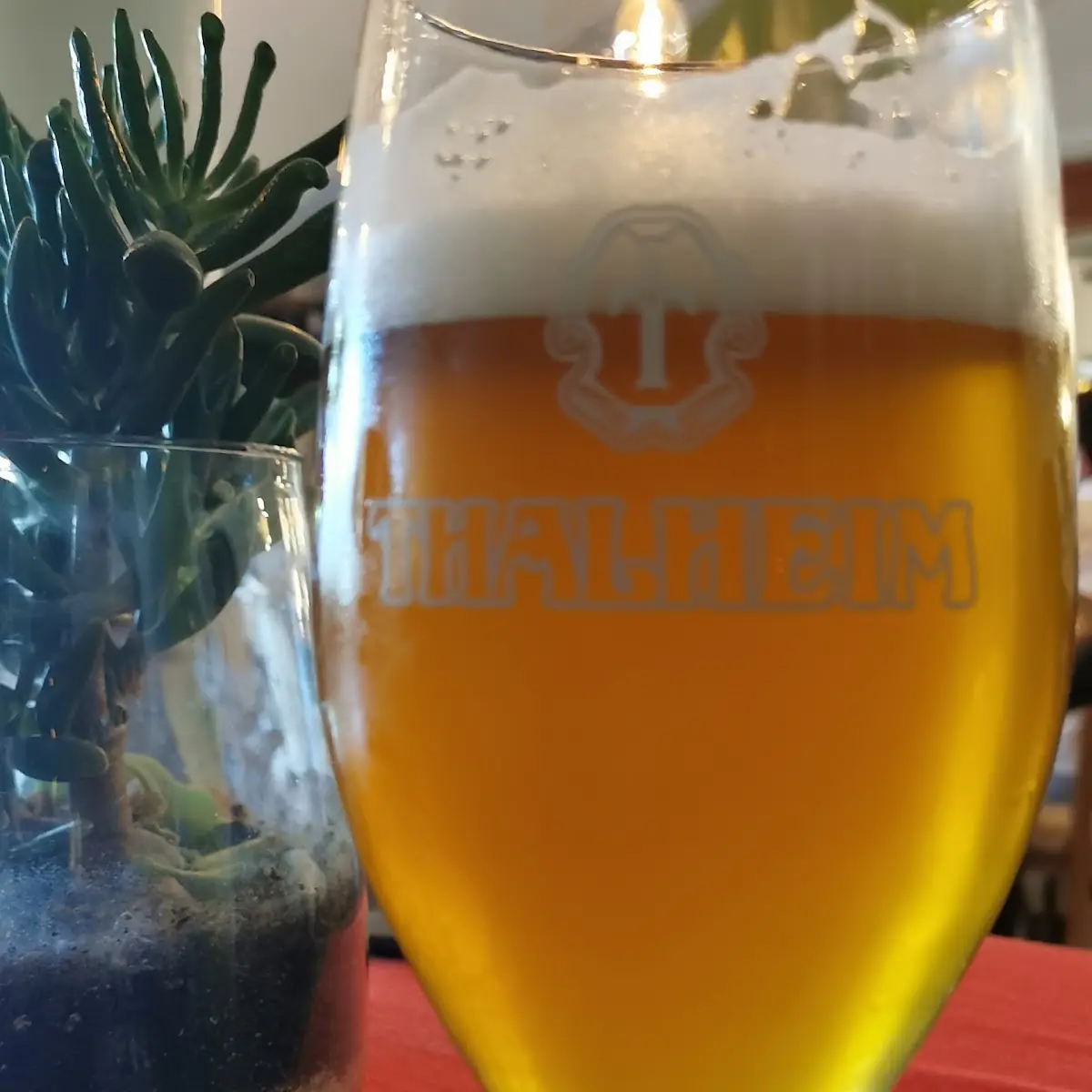 Bier