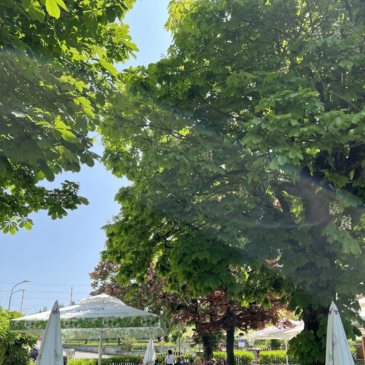 Atmosphäre photo 3