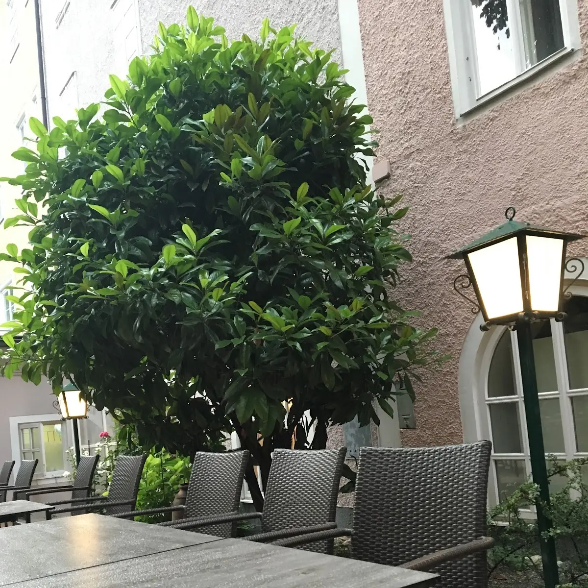 Atmosphäre photo 10