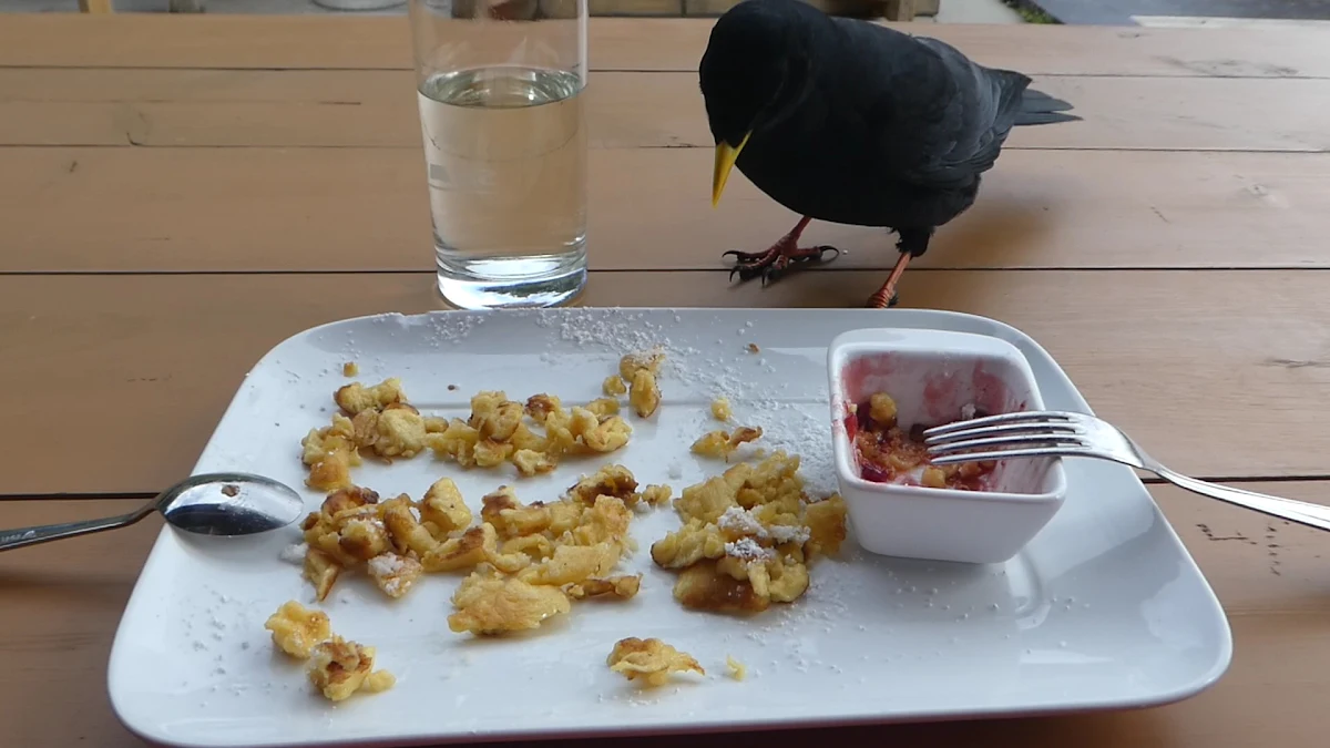 Essen und Trinken photo 8
