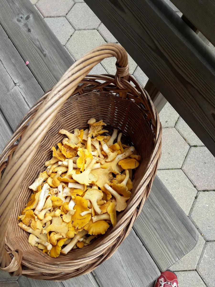 Essen und Trinken photo 5
