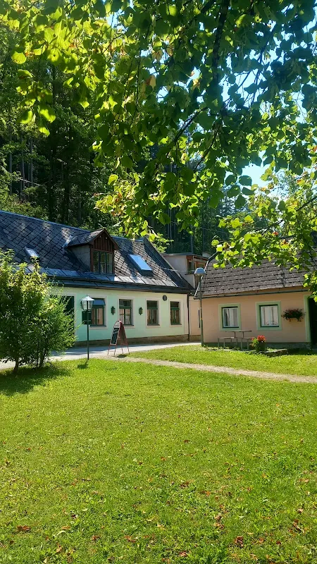 Grüner Baum