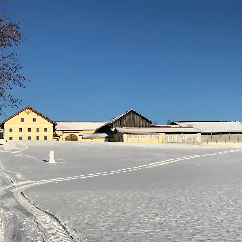 Wirt'z Kaltenmarkt - Gasthaus Glas