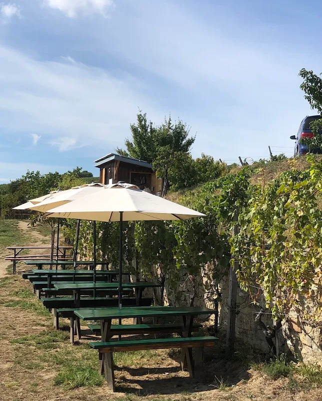 Buschenschank Windischbauer