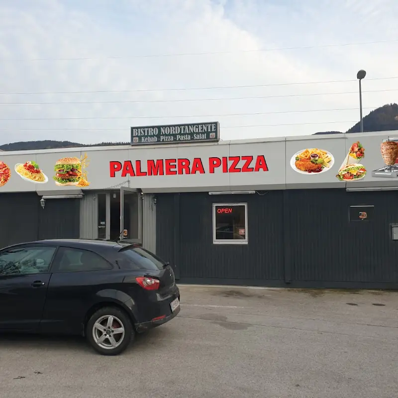Pizza Palmera