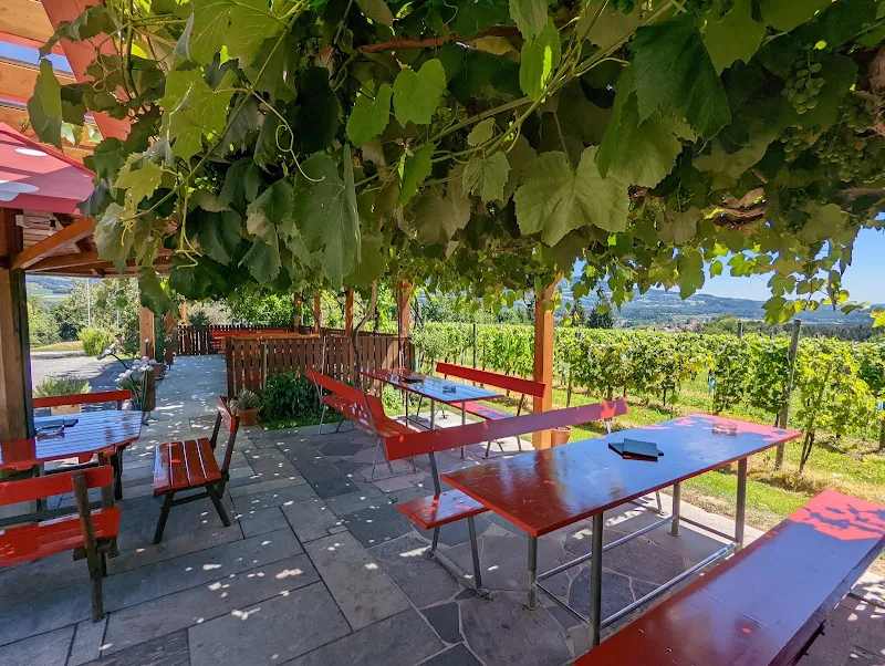 Ziagls Laube | Weingut & Buschenschank Schweighofer