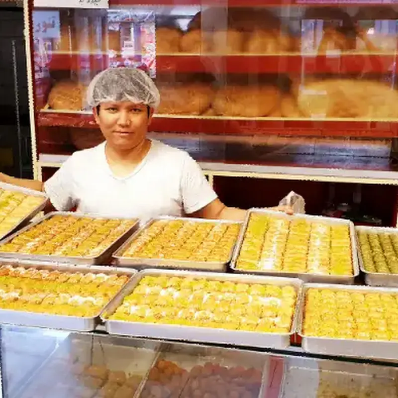 Watani Tandoor Brot