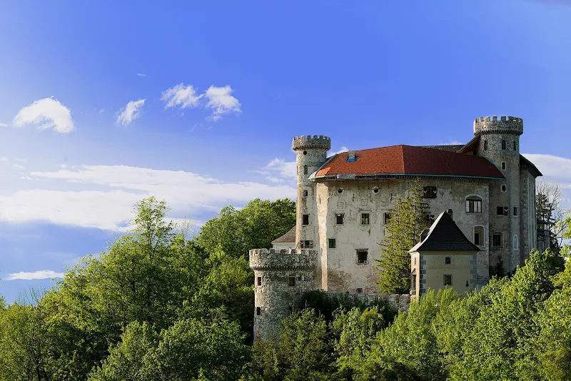 Burg Plankenstein