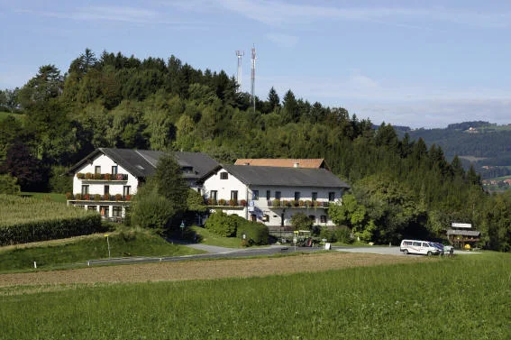 Gasthof-Pension Pferschywirt