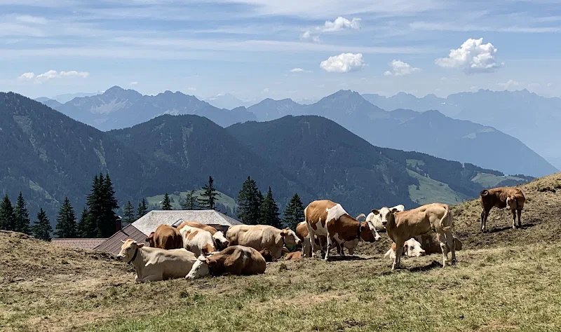 Alpe Gapfohl