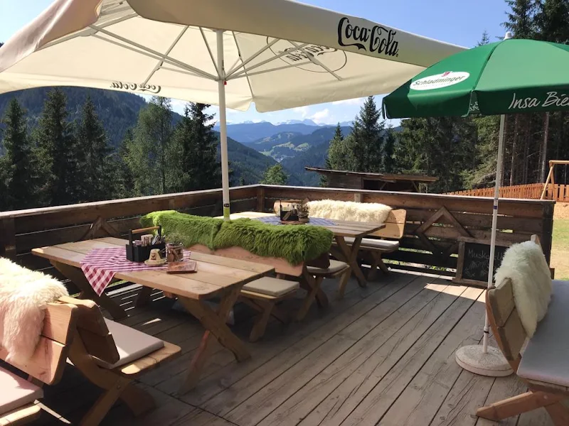 Ochsenalm Rittisberg