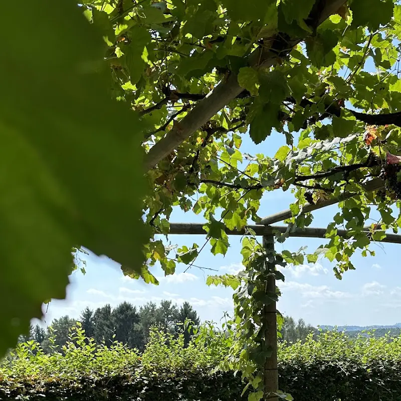 Buschenschank Thaller