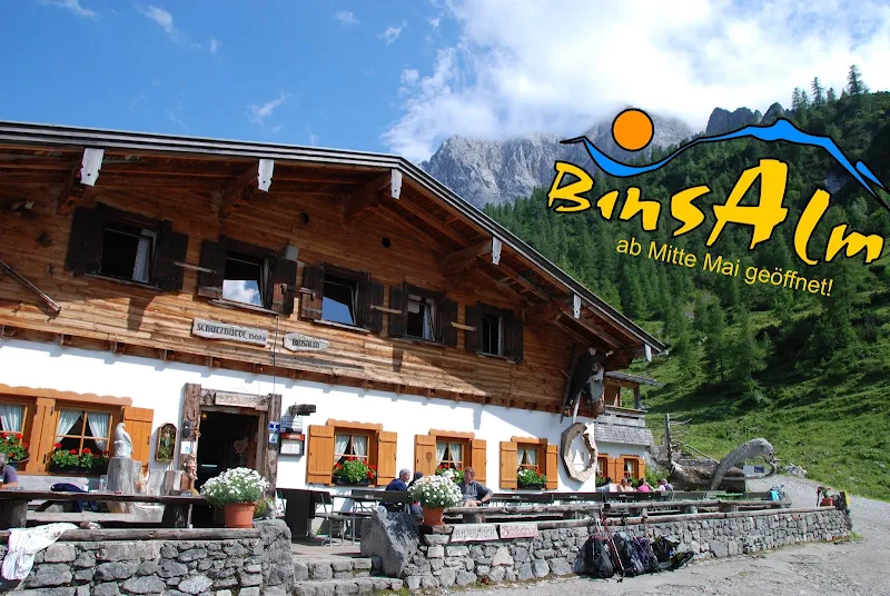 Binsalm