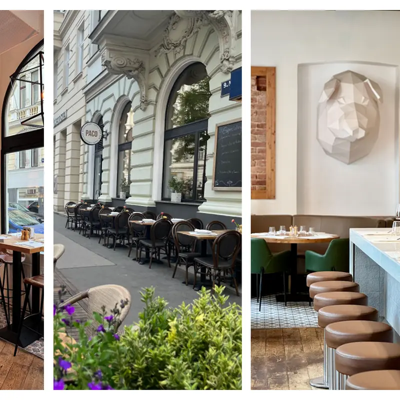 PACO . spanish restaurant . tapas . bar