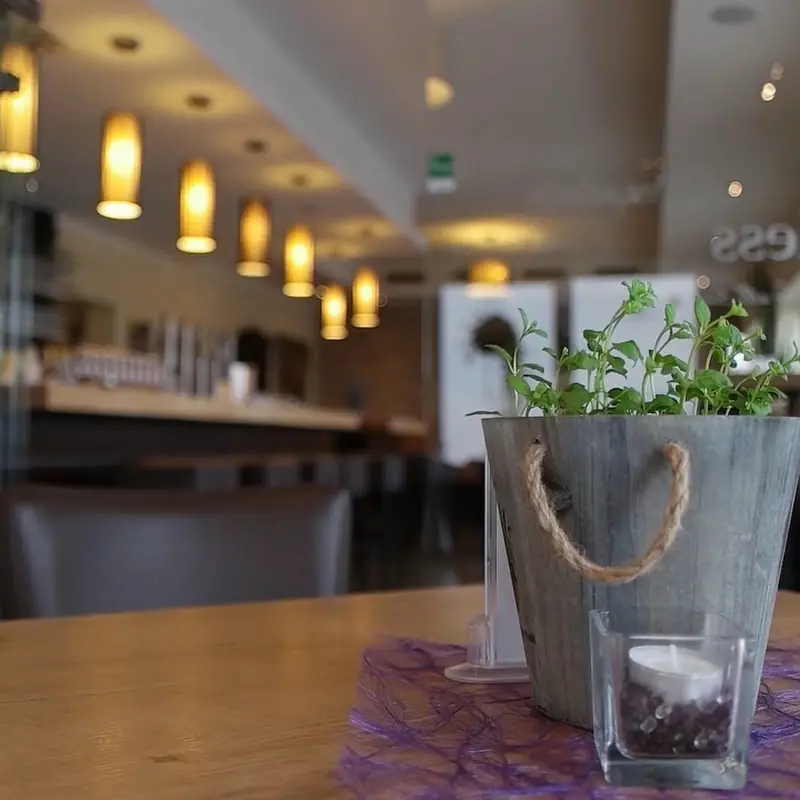 Timeless – Cafe . Restaurant . Bar