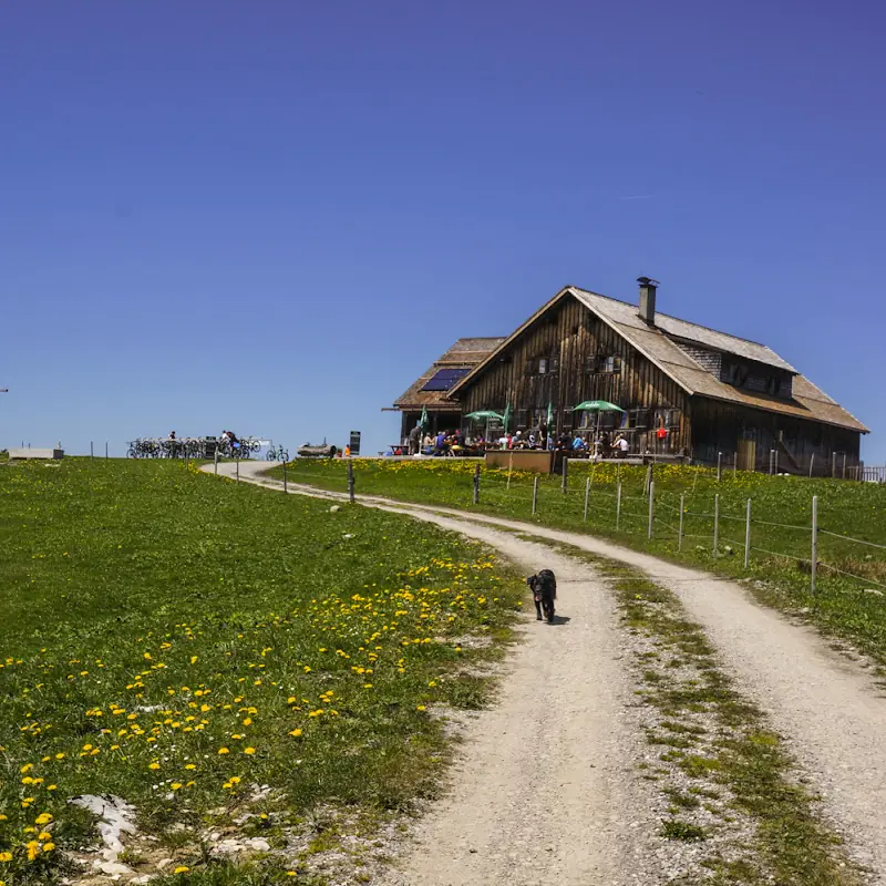 Alpe Weißenfluh