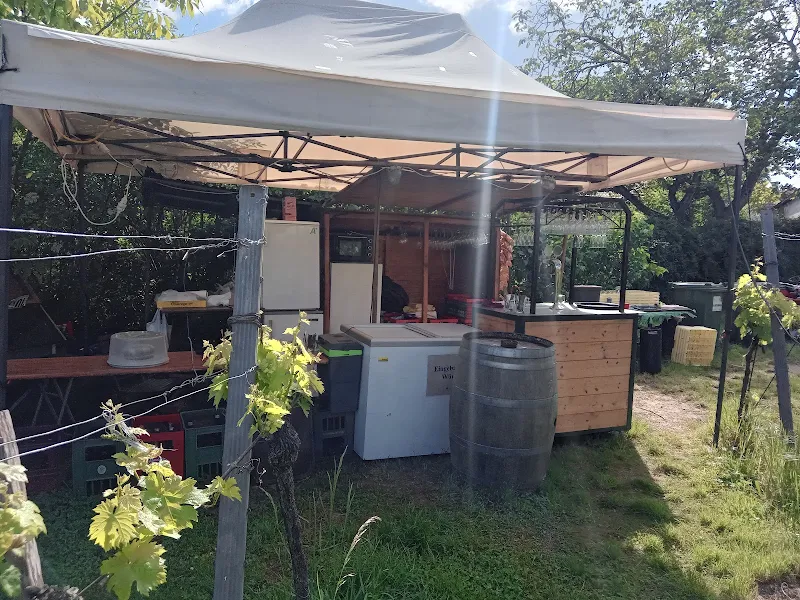 Weinbau&Buschenschank Familie Lurf, willkommen im Pfarrersgarten