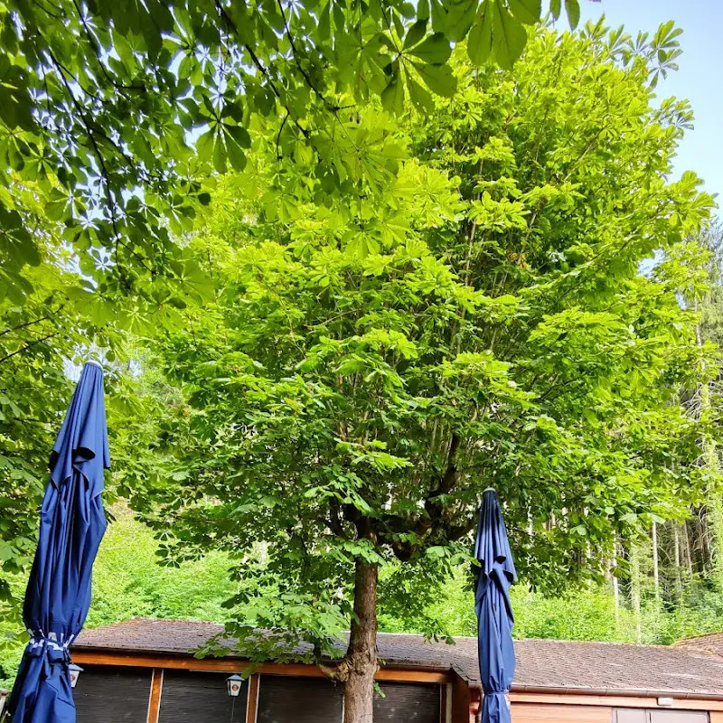 Ristorante italiano Haslach