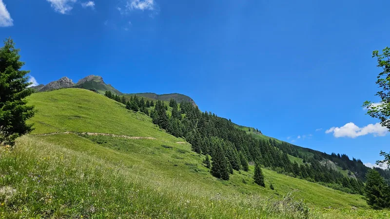 Rockfeldalm