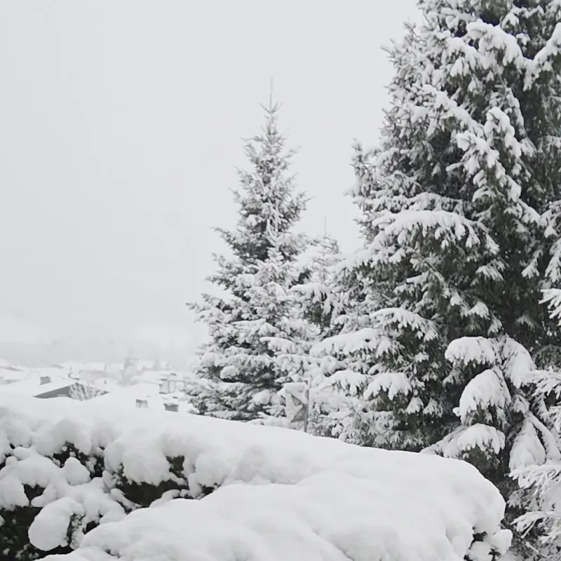 Eben im Pongau