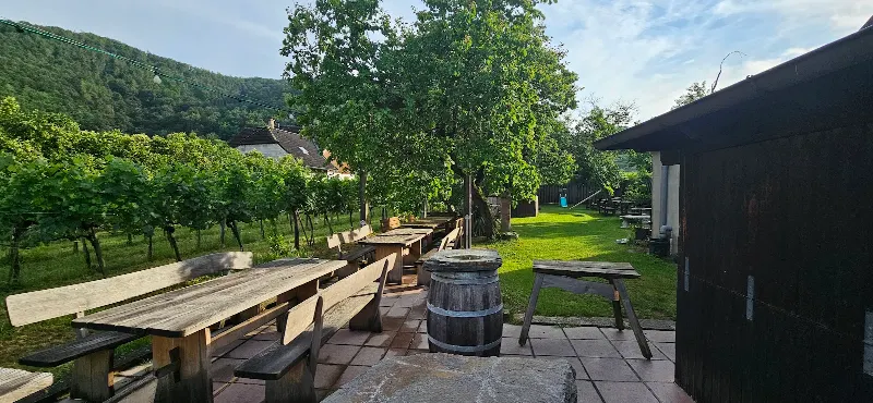 Heuriger Rinner