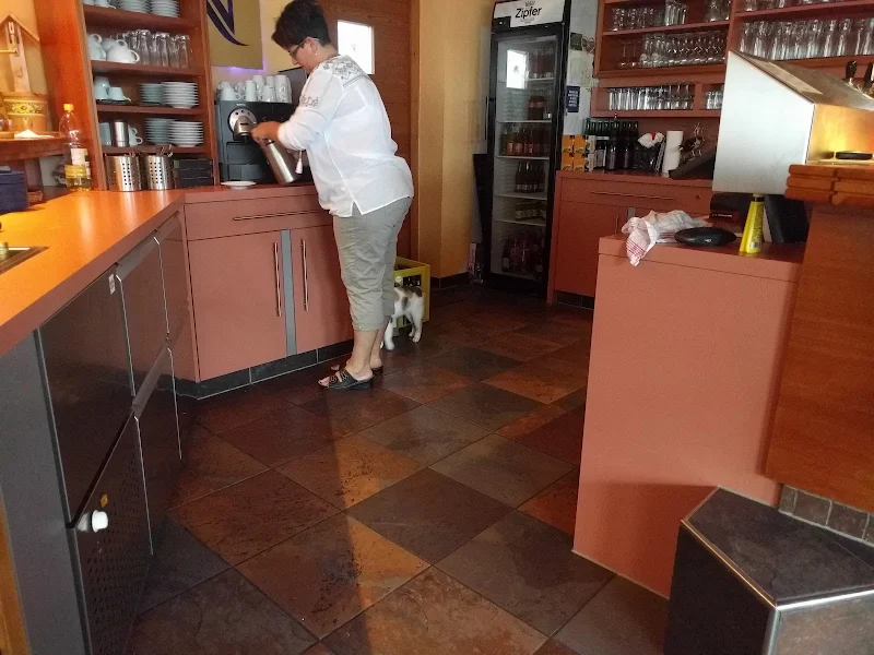 Moos Cafe
