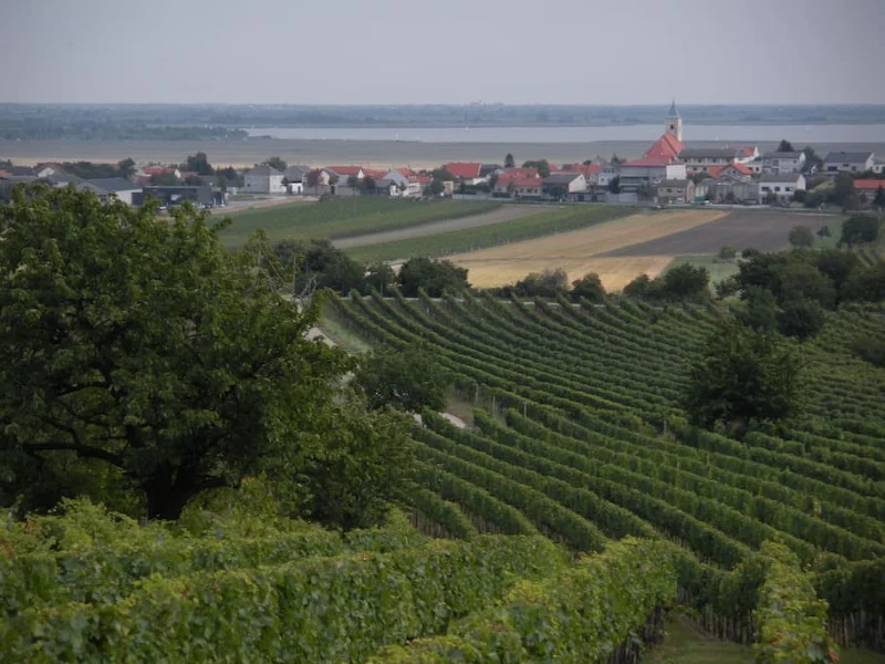 Winzerhof Richter