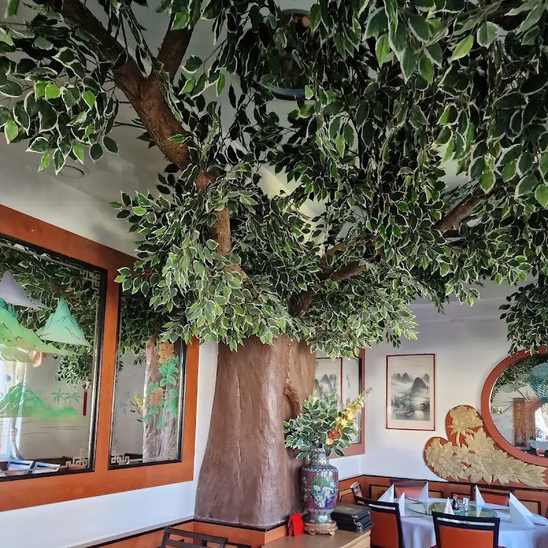 China Restaurant Phönix