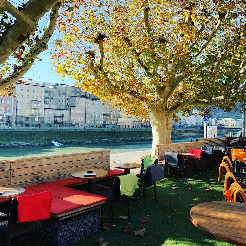Monkeys cafe bar cityoasis
