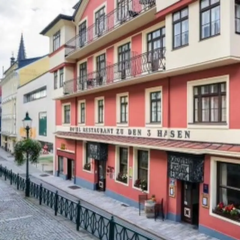 Hotel und Restaurant Drei Hasen