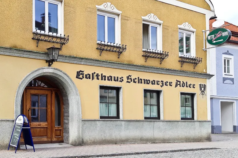 Schwarzer Adler