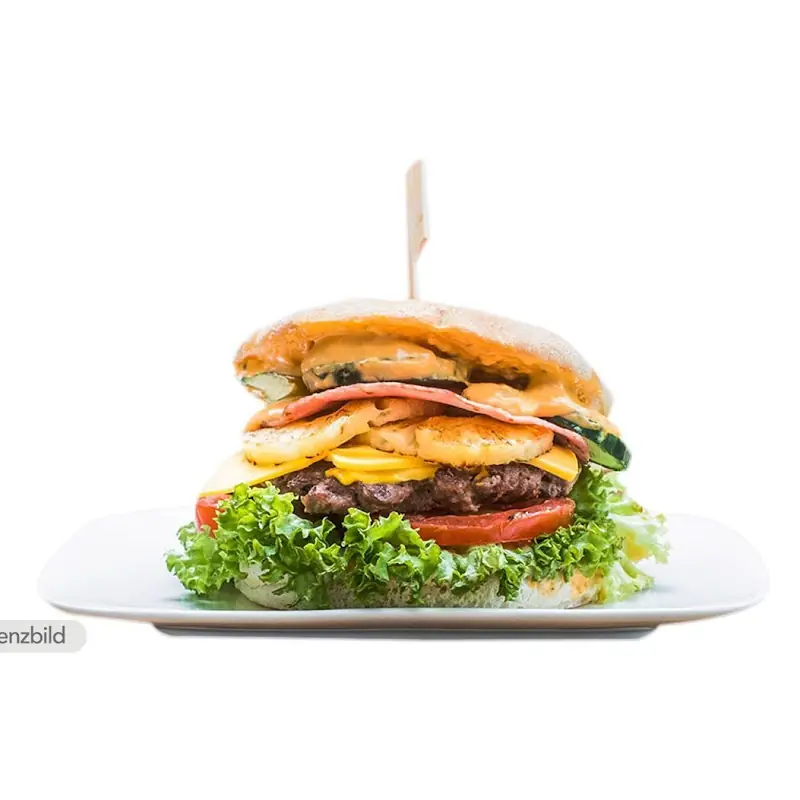 Mr. Schnitzel und Burger