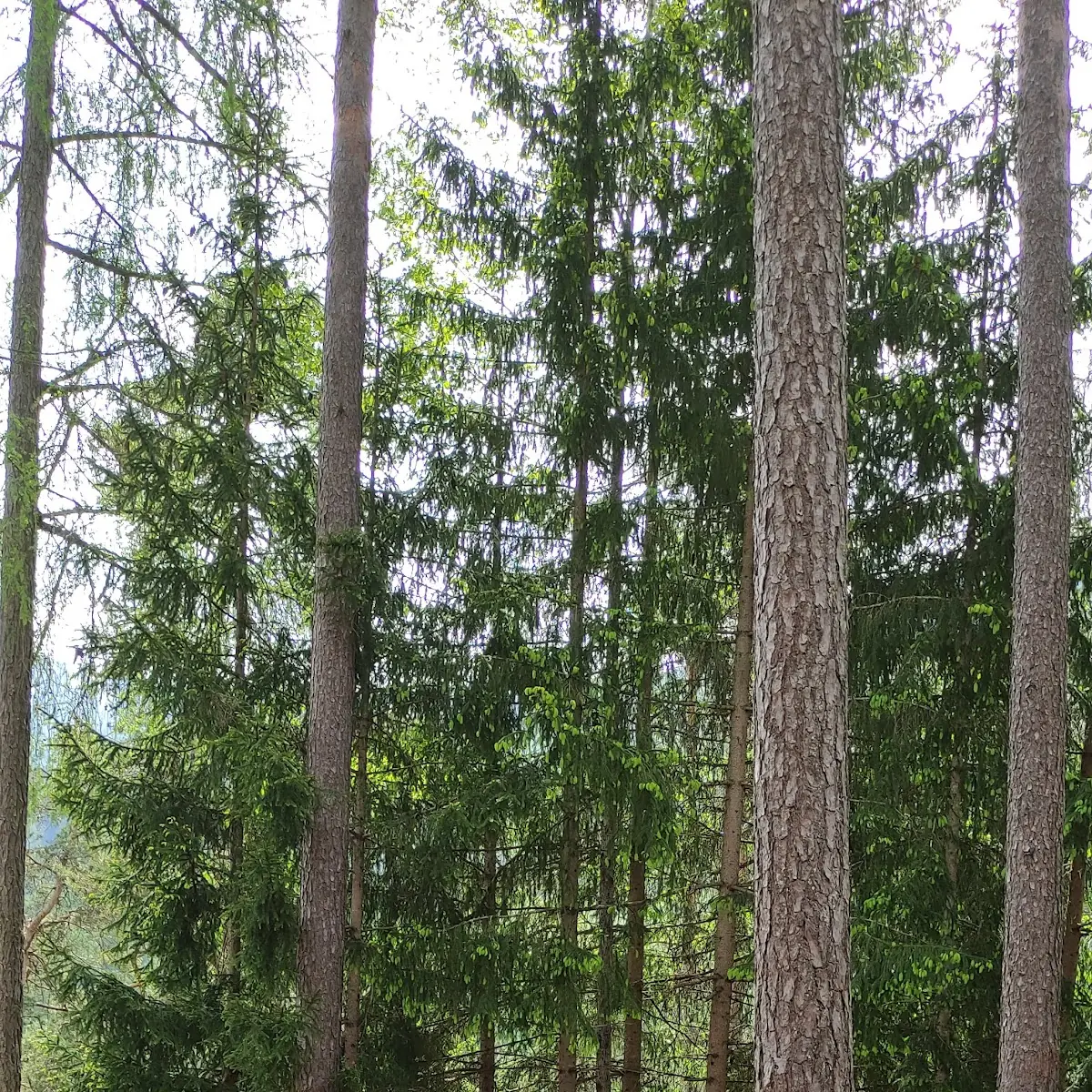 Atmosphäre photo 8