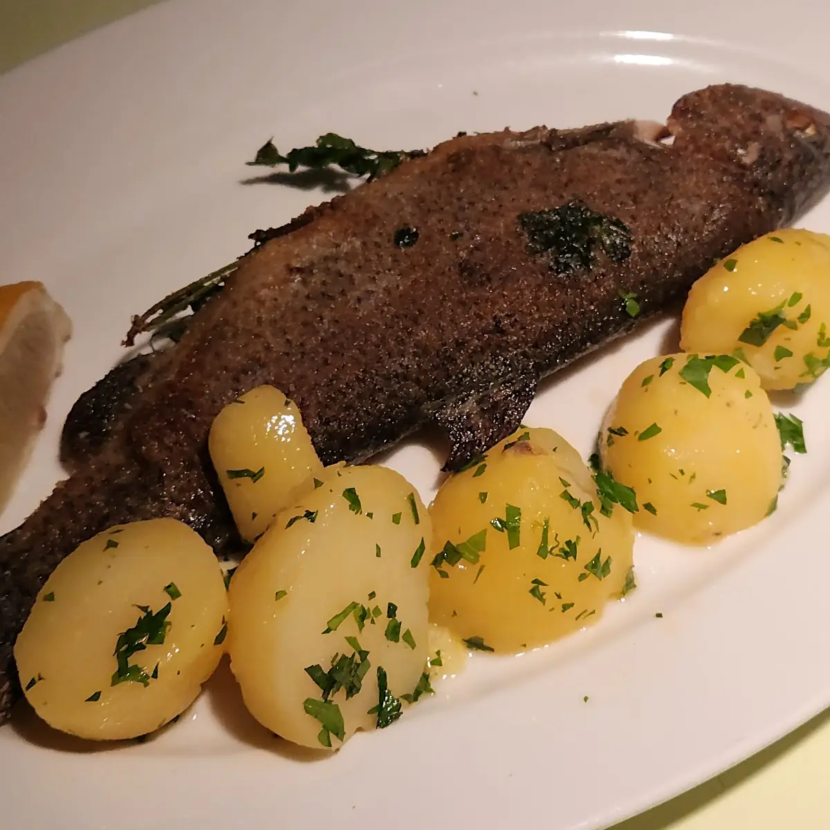 Essen und Trinken, Glacis Beisl