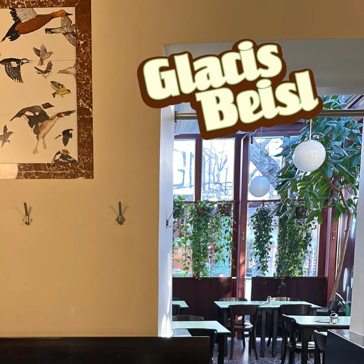 Atmosphäre, Glacis Beisl
