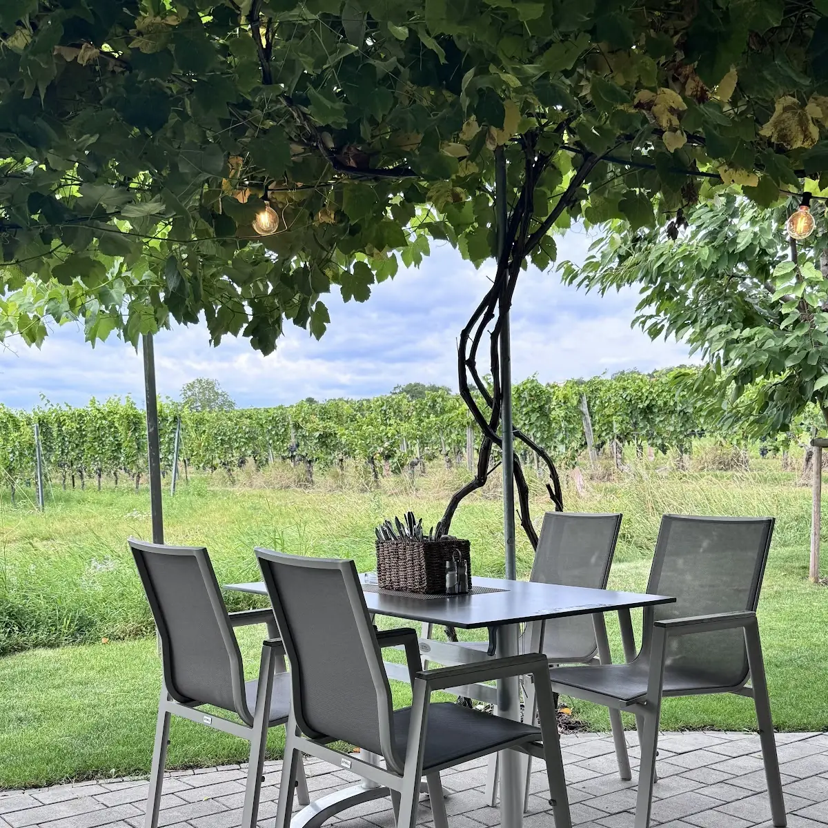 Atmosphäre photo 6