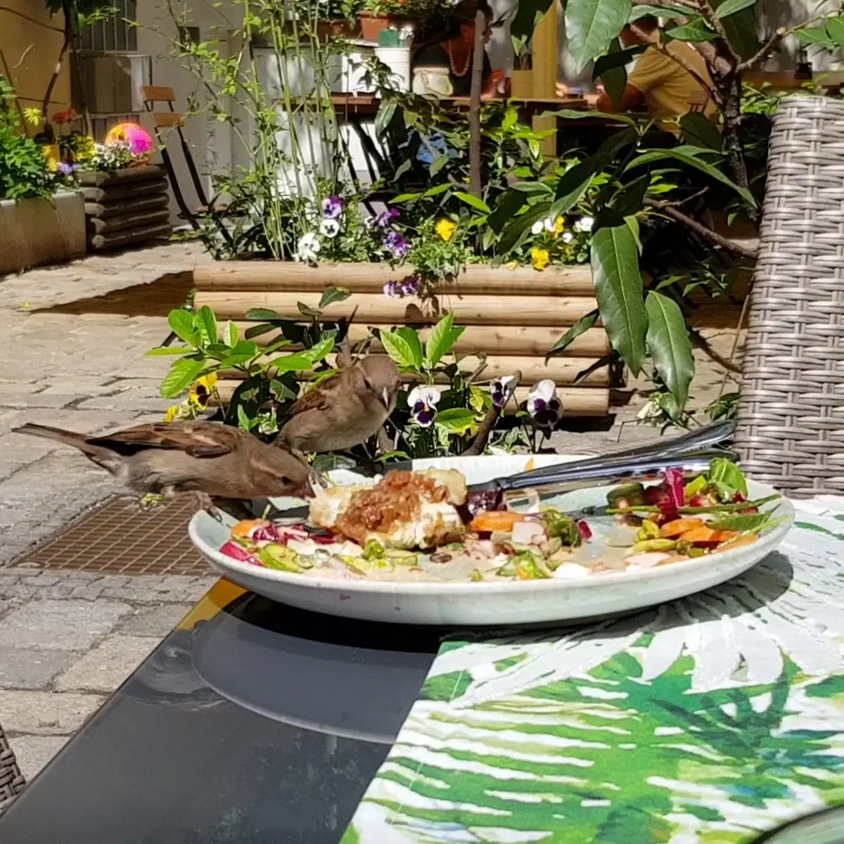 Essen und Trinken photo 2