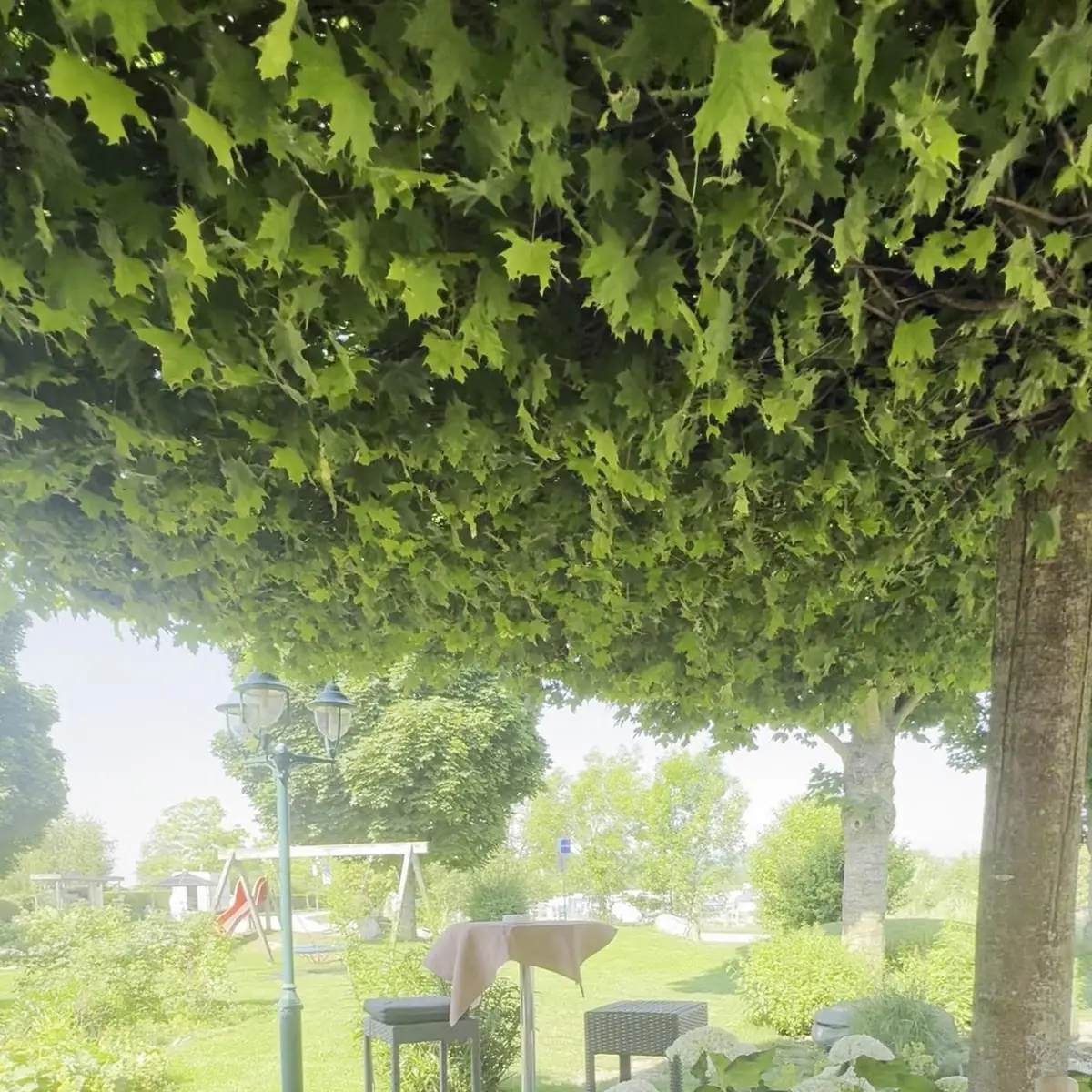 Atmosphäre photo 2